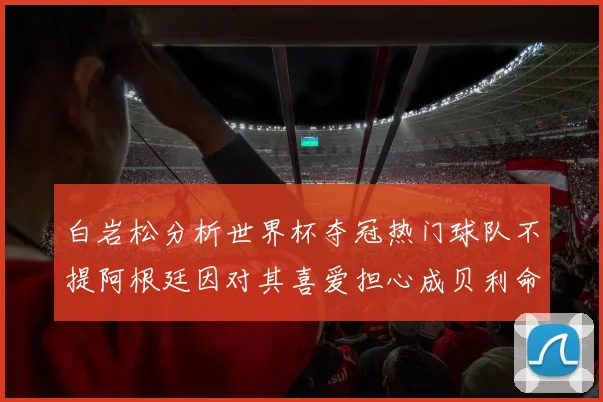 白岩松分析世界杯夺冠热门球队不提阿根廷因对其喜爱担心成贝利命运