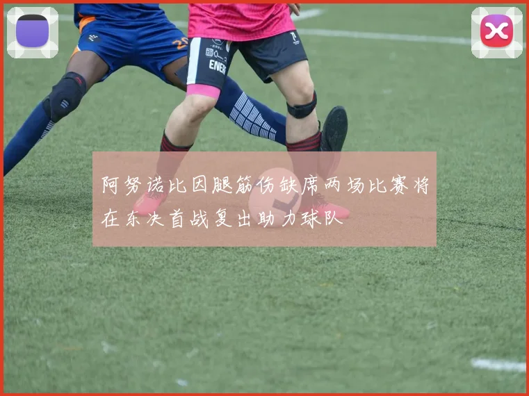 阿努诺比因腿筋伤缺席两场比赛将在东决首战复出助力球队
