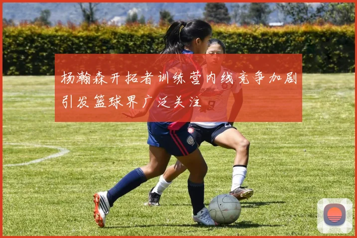 杨瀚森开拓者训练营内线竞争加剧引发篮球界广泛关注